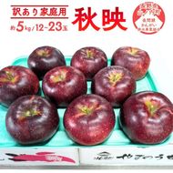 【2026年10月発送】秋映 訳あり家庭用 約5kg 12～23玉 りんご 果物 訳あり 信州 長野