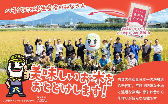 米 新米 5kg 10kg 令和8年産 【寄付額5500円~ /5kg当たり】選べる発送月 10月 11月 12月 白米 精米