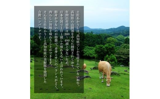 【CF-R7hbk】t210cdm　創業50年老舗レストランの幻の和牛あかうしハンバーグ 120g×16ケ 特製デミソース&特製トマトソース×4袋 6ヶ月定期便 土佐あかうし 美鮮豚 牛肉 デミグラス ハンバーグ 小分け 冷凍 美味しい 