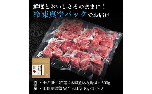 土佐和牛 特選スネ肉煮込み角切り500g 田野屋銀象完全天日塩1P付き 長期熟成肉 田野屋銀象 完全天日塩付き スネ肉 煮込み 角切り 肉 お肉 和牛 牛肉 国産 牛【株式会社LATERAL】 [BQAU045]