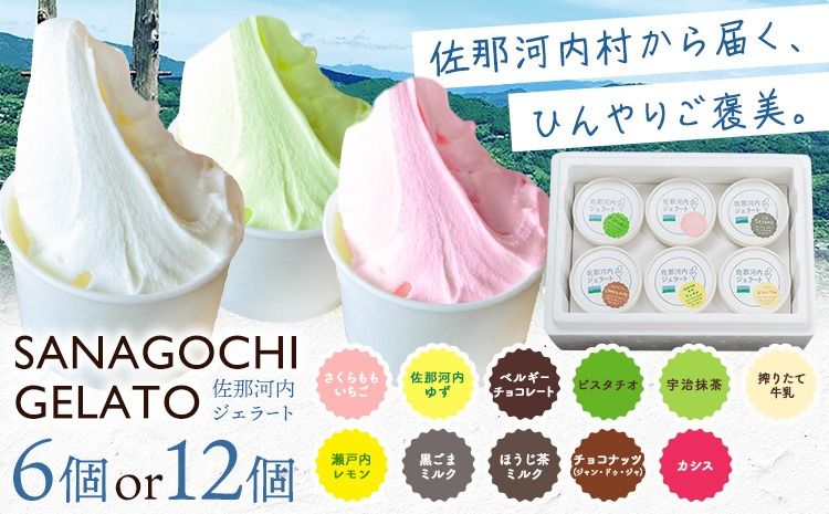 ジェラート アイス スイーツ SANAGOCHI GELATO 6個 または 12個 株式会社クリスティーヌ [30日以内に出荷(土日祝除く)] 徳島県 佐那河内村 お菓子 ご褒美 プレゼント いちご チョコ ピスタチオ ミルク [配送不可地域あり](離島)---sanagouchi_kst_1_6k---