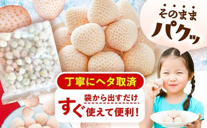 冷凍白いちご 1kg 果物 フルーツ いちご 愛西市 / くぼ苺農園 【配達不可：離島】[AECJ028]