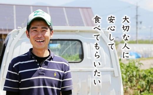 ［年8回定期便］ 農薬・化学肥料を使わずに栽培した野菜と減農薬栽培した果物 年8回定期便 OBUSE Meguru 野菜&フルーツセット シーズンコース［おぶせファーマーズ］おまかせ 野菜 やさい 詰め合わせ 8～12種類 果物 フルーツ 3種類 長野 信州 数量限定 産地直送 令和7年産 【2025年5～6月より順次発送予定】 [FY-4]