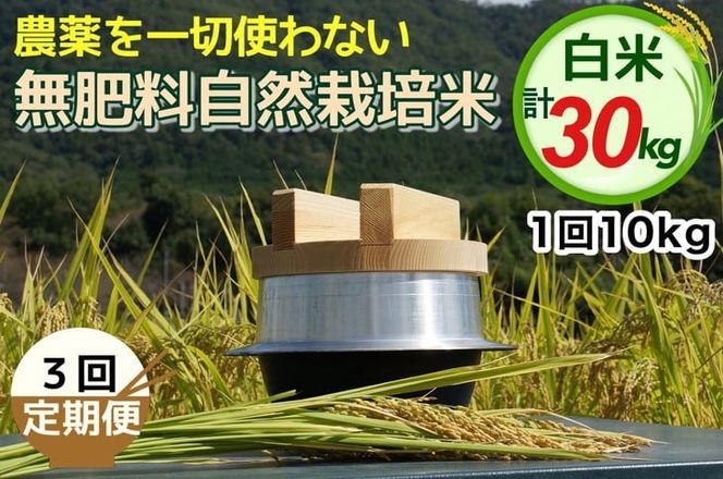 【3回定期便】自然栽培米 にこまる ＜農薬を一切使わない無肥料栽培＞ 白米 10kg × 3ヶ月 計30kg（精米したて）《令和6年産 新米 京都丹波産 無農薬米栽培向き 厳選品種》