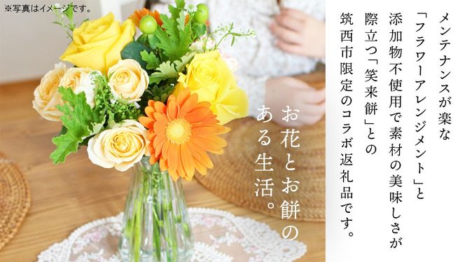 【 筑西市 ふるさと納税限定 コラボ 】 《 季節のお花アレンジメントS 》《 笑来餅 2個 セット（白2個） 》 アレンジメント 生花 ギフト プレゼント 誕生日 記念日 敬老 餅 もち もち米 [ZZ047ci]
