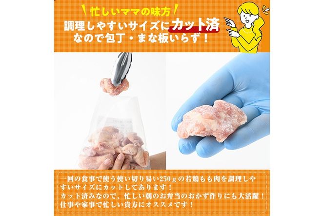 ＜先行予約受付中！2025年6月中に発送予定＞鶏肉 もも肉 小分け 個別凍結(計3kg・250g×12P)お肉 鳥肉 とり肉 切身 カット済 個別凍結 IQFカット 国産 宮崎県産 唐揚げ から揚げ からあげ 冷凍 便利【NK-02】【株式会社南九フーズ】