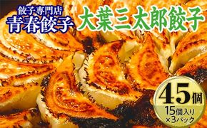 餃子専門店青春餃子　大葉三太郎餃子15個入り×3パック 45個