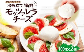 モッツアレラチーズ 100g×2個セット