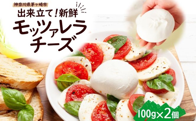 モッツアレラチーズ 100g×2個セット