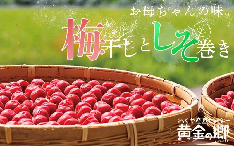 黄金の郷 お母ちゃんの味 梅干し (約180g×2) & しそ巻き (甘口・辛口 計2パック) セット / 梅干し 梅干 うめ ウメ ご飯のお供 手作り 食べ比べ[aubless014]