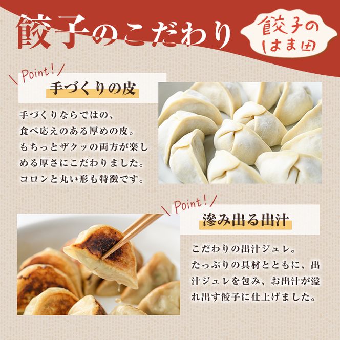 ＼テレビで紹介されました！／ニラ餃子(12個入×4袋・計48個) 餃子 生餃子 ギョウザ ぎょうざ ギョーザ セット 詰め合わせ おかず お惣菜 冷凍 和風 水餃子 にら ニラ 手作り【餃子のはま田】akn096-01