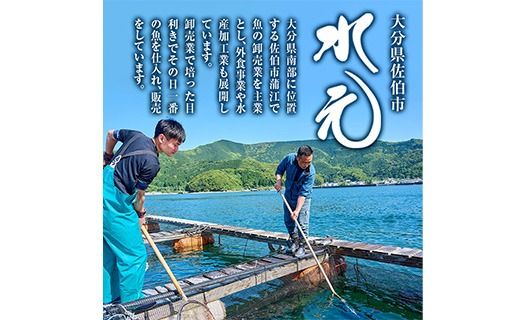 ＜ 訳あり ＞ 骨取り 白身魚 切身 (約400g・1袋) 魚 切り身 小分け お試し 骨取り カット済 無塩 簡単調理 冷凍 国産 大分県産 おかず おつまみ お弁当 にべ ニベ 【GO019】【水元】