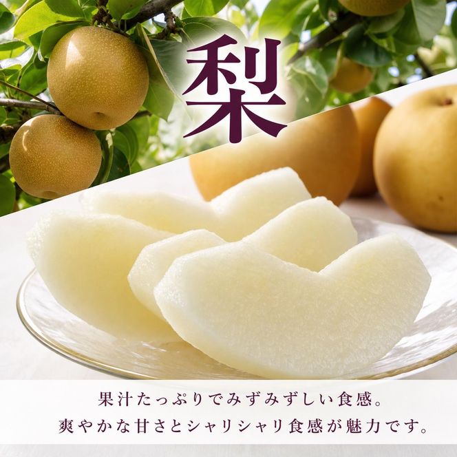 全3回 フルーツ定期便（桃7月、梨8月、ピオーネ9月発送）｜ 和歌山県産 モモ ナシ ぶどう 旬 果物