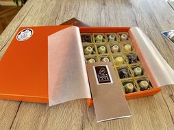 Fujichocolate５種アソート（20ケ入り） FEQ002