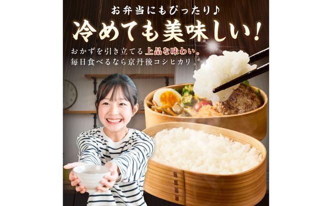 直売所直送「令和7年産　京丹後市産　コシヒカリ」　精米10kg こめ ふるさと納税 コシヒカリ 精米 米 精米 白米 2025 年 京都産　JA00097