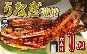 【訳あり】 うなぎ 蒲焼 1尾 140g  鰻蒲焼 ウナギ かばやき 土用 丑の日  活鰻 自家製蒲焼 たれ 山椒 冷蔵 まとめ買い 静岡県 藤枝 ふるさと人気 [ PT0192-000001 ]