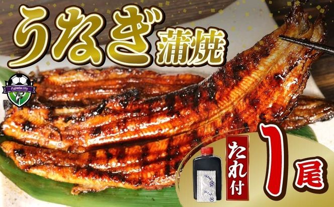 【訳あり】 うなぎ 蒲焼 1尾 140g  鰻蒲焼 ウナギ かばやき 土用 丑の日  活鰻 自家製蒲焼 たれ 山椒 冷蔵 まとめ買い 静岡県 藤枝 ふるさと人気 [ PT0192-000001 ]
