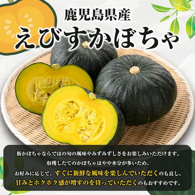 ＜先行予約受付中！2026年5月上旬以降順次発送予定＞鹿児島県産 えびすかぼちゃ(約10kg) 国産 野菜 かぼちゃ カボチャ 南瓜 煮物 天ぷら バーベキュー BBQ スイーツ お菓子【松永青果】akn053-27