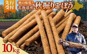 先行受付！2026年10月頃～発送開始！北海道十勝清水町産 秋堀り 新鮮 ごぼう！ 10kg 北海道産 ごぼう 土付ごぼう ゴボウ 根菜_S045-0004