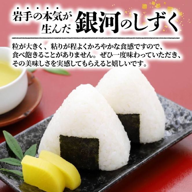 パックご飯 180g×12食 (3個×4パック) 銀河のしずく 一等米 精米 岩手県産 米 白米 レンジ レンチン パック ご飯 はくまい コメ rice ごはん 常温 常温保存 保存 農家 農作物 栄養 夕飯 大船渡 三陸 岩手県 国産 [owada004]