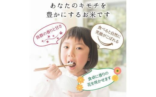 【9回定期】特別栽培米 コシヒカリ ヒロシノキモチ 精米 10kg 総計90kg ブランド米 銘柄米 国産 米 お米 日本米 ギフト 贈り物 備蓄 防災 食品 陽咲玲 はるざれ F6T-995