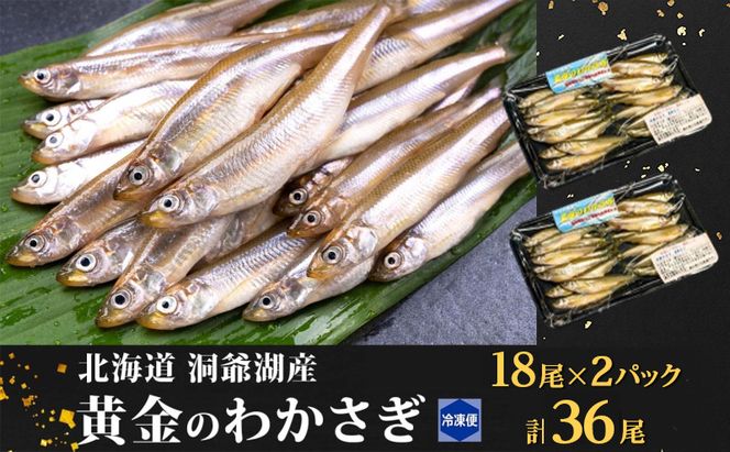 洞爺湖町産 黄金のわかさぎ 18尾×2P 計36尾 北海道産 ワカサギ わかさぎ 川魚 魚介類 産地直送 冷凍 お取り寄せ グルメ 料理 天ぷら フライ とうやマルシェ 北海道 洞爺湖町