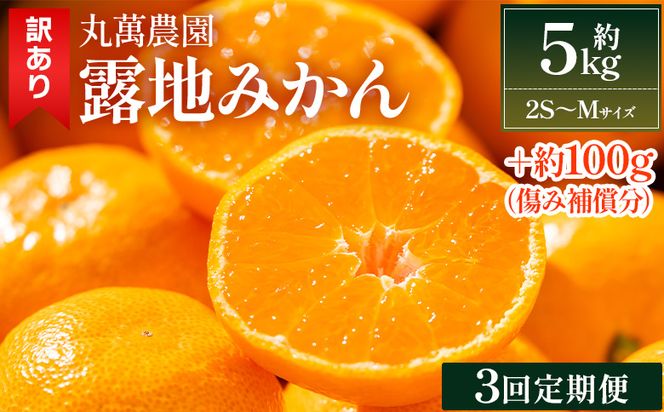 【３回定期便】露地みかん(2S～Mサイズ) 5kg 家庭用 丸萬農園 - 果物 くだもの フルーツ 果実 柑橘 かんきつ 蜜柑 みかん ミカン 果汁 期間限定 訳アリ 家庭用 自宅用 キズ 傷 丸萬農園 高知県 香南市 Wmn-0018