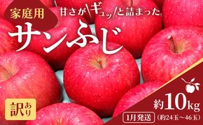 1月発送 家庭用 サンふじ 約10kg【訳あり】【原正りんご 青森県産 津軽産 リンゴ 林檎】 果物類 希少 葉取らず 完熟 安心 丸かじり 甘い 高糖度 