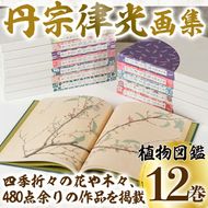丹宗律光画集(全12巻)美術品 丹宗律光 画集 絵画 図鑑 古書 書籍【生涯学習課】akn012-02