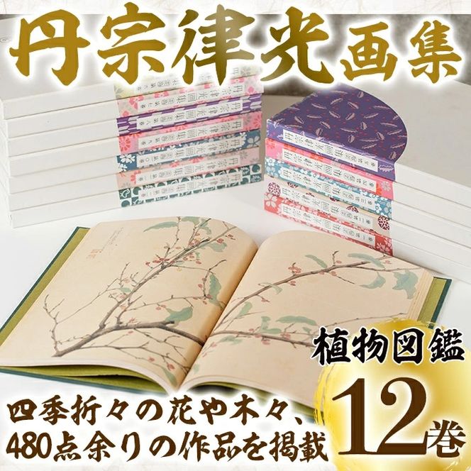 丹宗律光画集(全12巻)美術品 丹宗律光 画集 絵画 図鑑 古書 書籍【生涯学習課】akn012-02