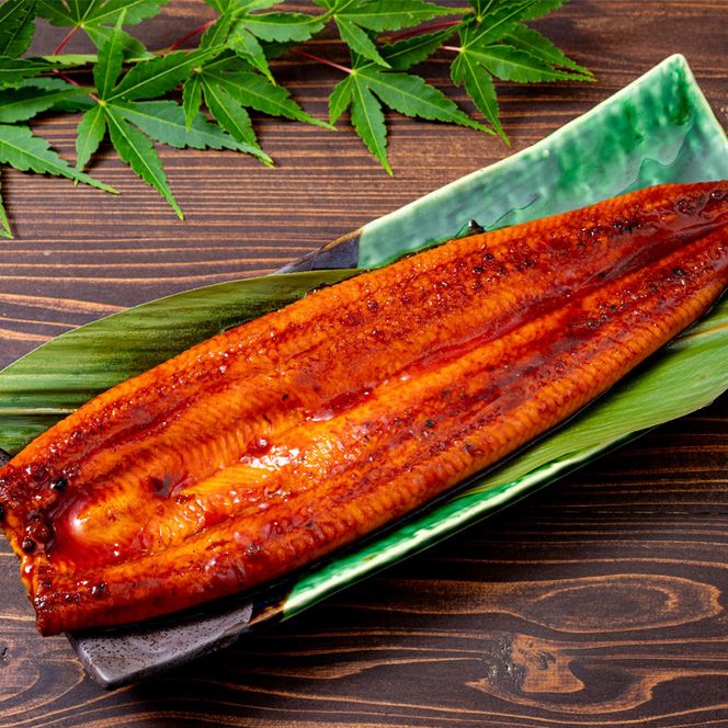 うなぎ 蒲焼 170g×3尾【鹿児島産】地下水で育てた絶品鰻 464686_AQ107