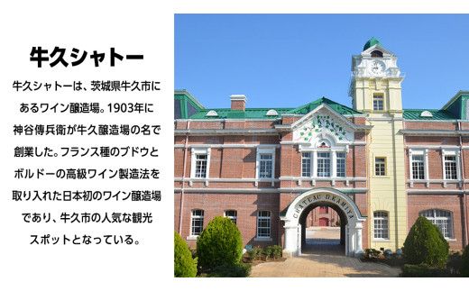 【 牛久市限定 】 LEDランタン 38灯 ( MIYABI ) 牛久シャトーver ＋ Dsnap38（ リアル真鍮 ） の2点セット 38研究所 38explore クリップ 充電式ライト 輝度 200ルーメン 防水性能 生活防水対応 タッチセンサー起動 充電 タイプCポート採用 キャンプ 灯り 灯 おしゃれ コンパクト野外 照明 Ushiku Chateau [EK014us]