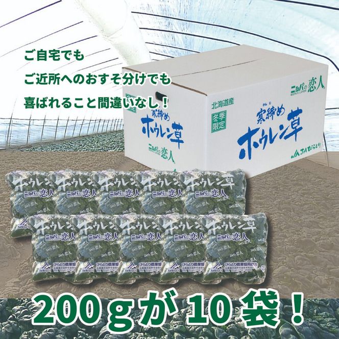 【北海道平取町産】寒締めホウレン草（ちぢみほうれん草）200g×10袋 BRTO003