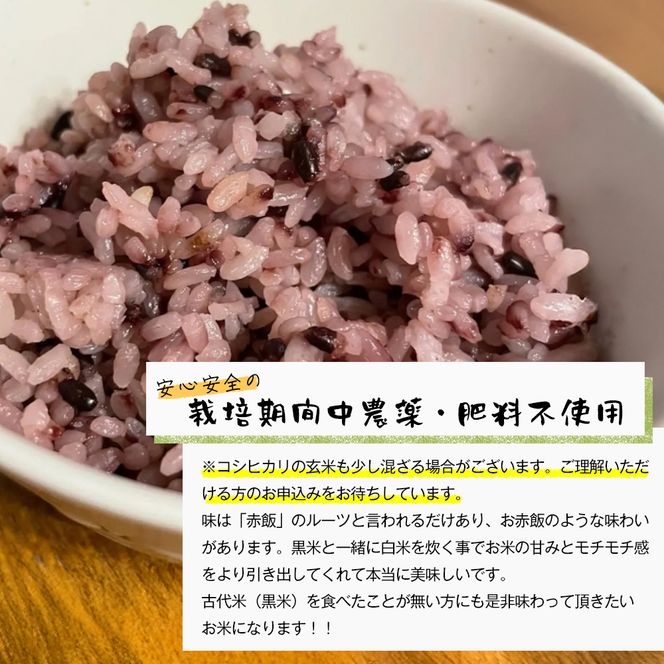 古代米（黒米）　希少！栽培期間中農薬・肥料不使用 1kg（500g×2PC）