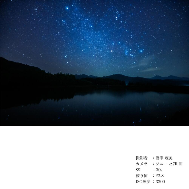 SIGMA 14-24mm F2.8 DG DN | Art【Lマウント用】カメラ レンズ 家電 