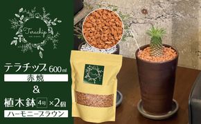 三河焼植木鉢ハーモニーブラウン【テラチップ赤焼】プランター お手軽植物栽培セット 園芸 粘土 鉢 植物 土 シルバー 赤 茶 H188-008