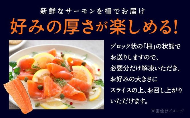 030D239 アトランティックサーモン 1.6kg【ポーション 小分け 刺身 海鮮丼 さーもん 冷凍 訳あり サイズ不揃い まとめ買い】