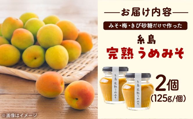 糸島完熟うめみそ2個セット 糸島市 / 糸島げんき工房[AKR004]