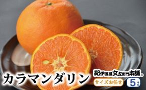  カラマンダリン 5kg サイズおまかせ / みかん 蜜柑 柑橘 果物 フルーツ 紀伊国屋文左衛門本舗 ※2027年4月上旬～5月上旬頃に順次発送予定(お届け日指定不可) 【kmtb015-r-5】