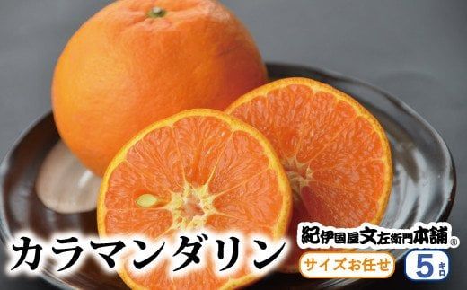  カラマンダリン 5kg サイズおまかせ / みかん 蜜柑 柑橘 果物 フルーツ 紀伊国屋文左衛門本舗 ※2027年4月上旬～5月上旬頃に順次発送予定(お届け日指定不可) 【kmtb015-r-5】