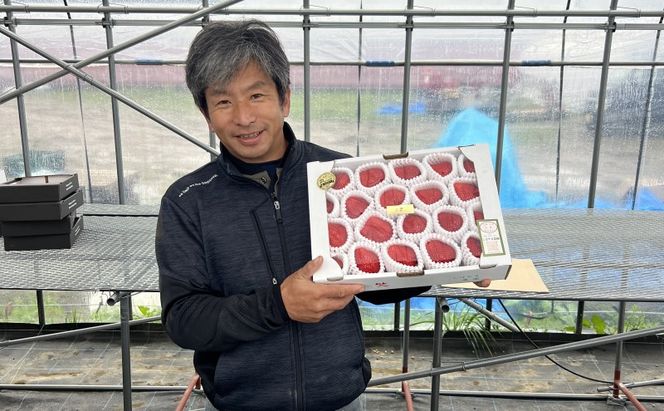 いちご 朝倉市産 あまおう L～3L 20玉 イチゴ 苺 果物 デザート ＜Shibayama Farm＞ ※配送不可：離島 