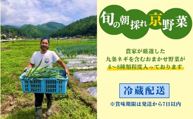 【定期便12回】新鮮 野菜 詰め合わせ セット