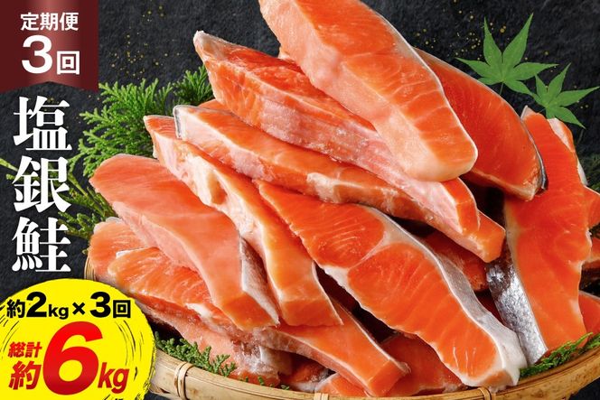 定期便 《3ヶ月連続お届け》 訳あり 銀鮭 切身 約2kg×3回 計6kg [宮城東洋 宮城県 気仙沼市 20564481] 鮭 海鮮 規格外 不揃い さけ サケ 鮭切身 シャケ 切り身 冷凍 家庭用 訳アリ おかず 弁当 支援 事業者支援