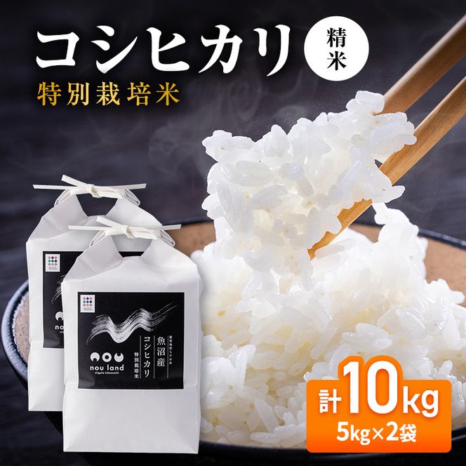 【先行予約】令和8年産 コシヒカリ 特別栽培 精米5kg×2袋