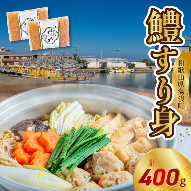 SD1001_鱧すり身 200g × 2個 高級魚 鱧 漁港直送 その日に加工 真空冷凍 鮮度 キープ すり身 鍋 ハンバーグ つみれ汁 高級料亭 気分 味わえる 自宅 簡単 出来立て さつま揚げ 冷凍 お取り寄せ 和歌山県 湯浅町 送料無料