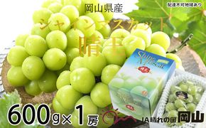 ぶどう 2026年 先行予約 シャイン マスカット 晴王 約600g×1房 ブドウ 葡萄  岡山県産 国産 フルーツ 果物 ギフト 種なし 大粒 美しい 弾力 高糖度 甘い 種なしぶどう 