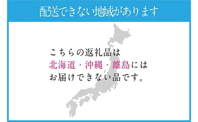 ぶどう 先行予約 【2回定期便】 シャイン マスカット 晴王 1房 約600g ブドウ 葡萄  岡山県産 国産 フルーツ 果物 ギフト デザート 食後 酸味が少ない 9月・10月にお届け ハレノフルーツ
