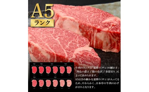 【CF-R7hbk】土佐和牛特選ヒレステーキ100g×2枚セット 200g 牛肉 肉 お肉 和牛 国産 牛 ヒレ ステーキ A5 最高級 特選 霜降り 国産 希少 豪華 贅沢 美味しい おいしい 柔らかい 肉汁