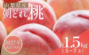 【2027年 先行予約】 山梨県都留市産　朝採れ桃 約1.5kg 以上(５～７玉）　FF008