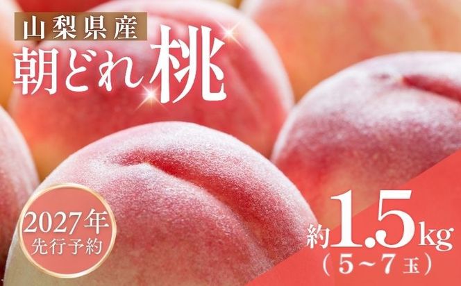 【2027年 先行予約】 山梨県都留市産　朝採れ桃 約1.5kg 以上(５～７玉）　FF008